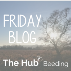 Friday Blog | Majoring on the Minor’s | of first importance